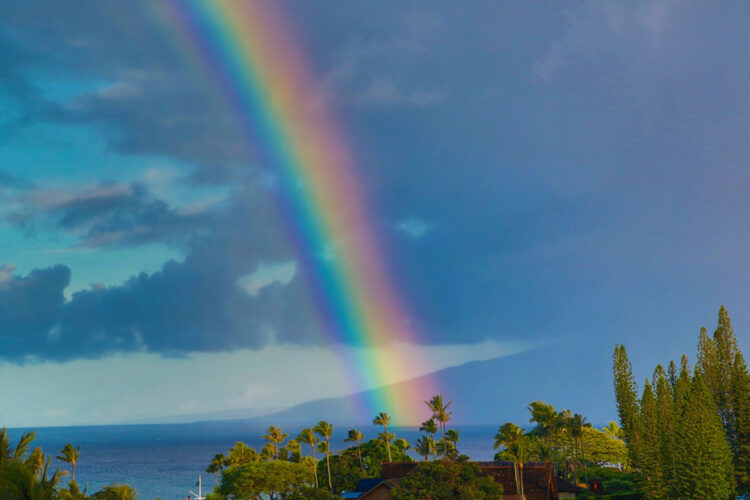 Photo of the Day: Napili Rainbow